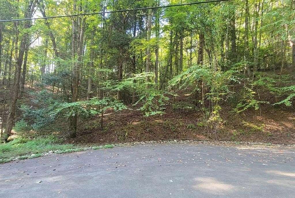 0.7 Acres of Residential Land for Sale in Ellijay, Georgia