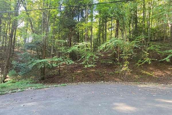 0.7 Acres of Residential Land for Sale in Ellijay, Georgia