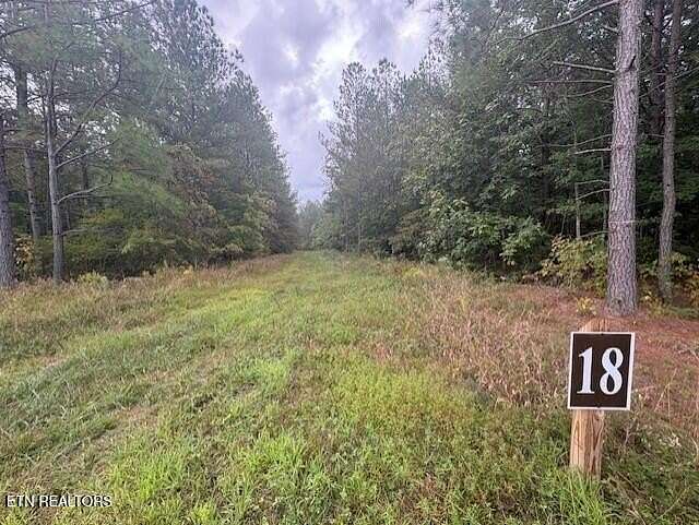19.8 Acres of Land for Sale in Sunbright, Tennessee