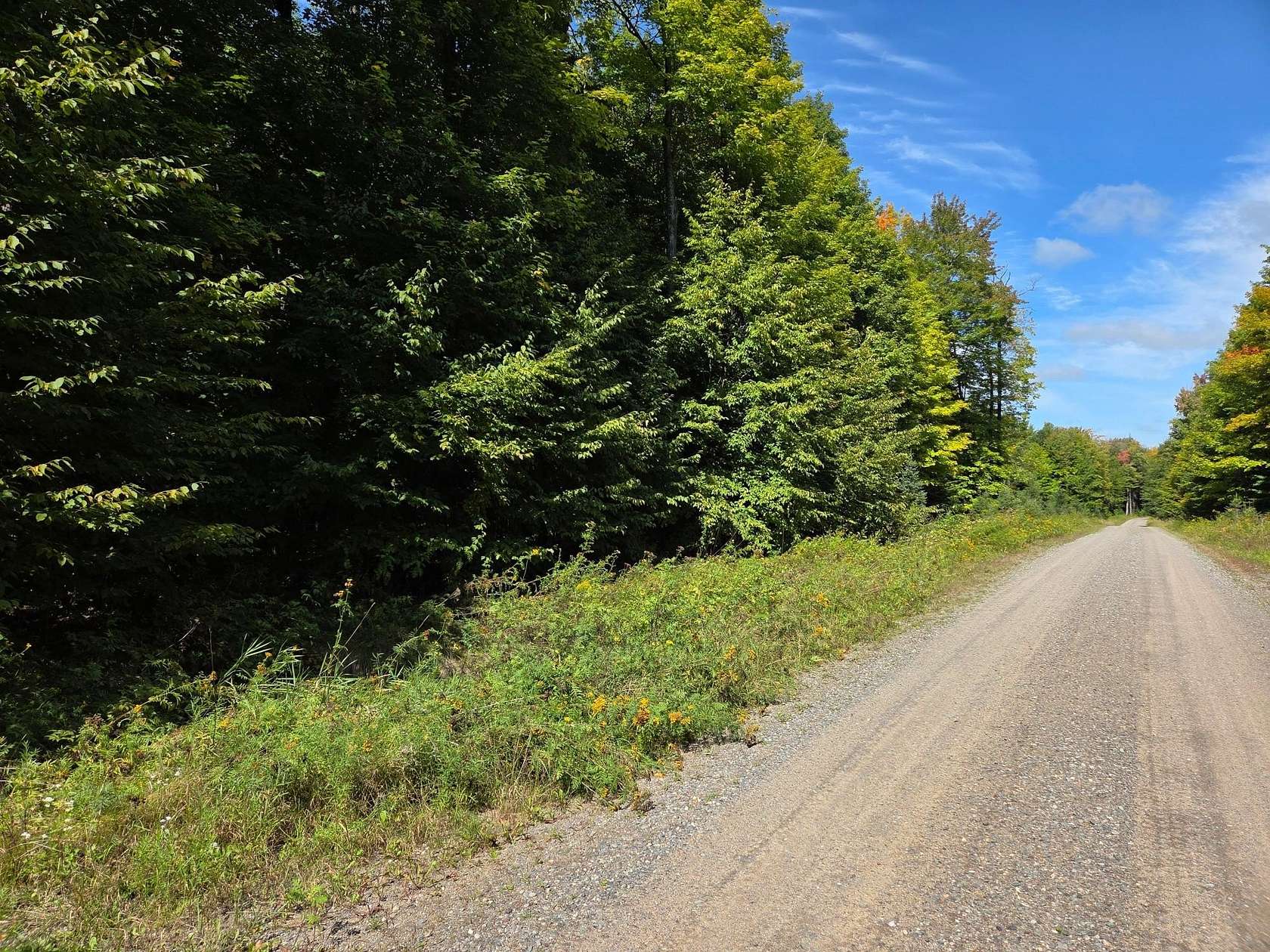 19 Acres of Recreational Land for Sale in Iron River, Michigan