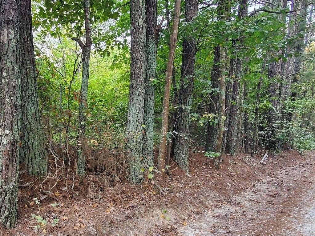 1 Acre of Residential Land for Sale in Douglasville, Georgia