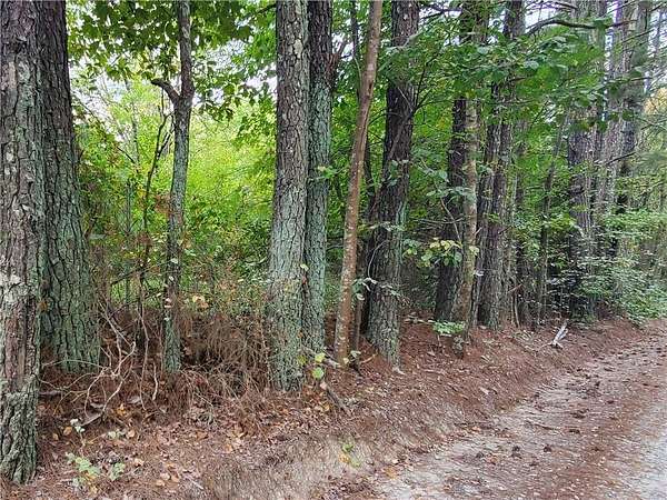 1 Acre of Residential Land for Sale in Douglasville, Georgia