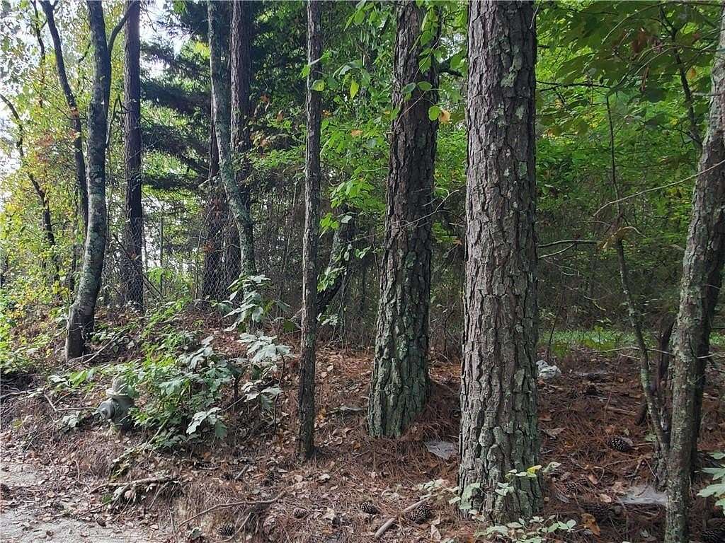 1 Acre of Residential Land for Sale in Douglasville, Georgia
