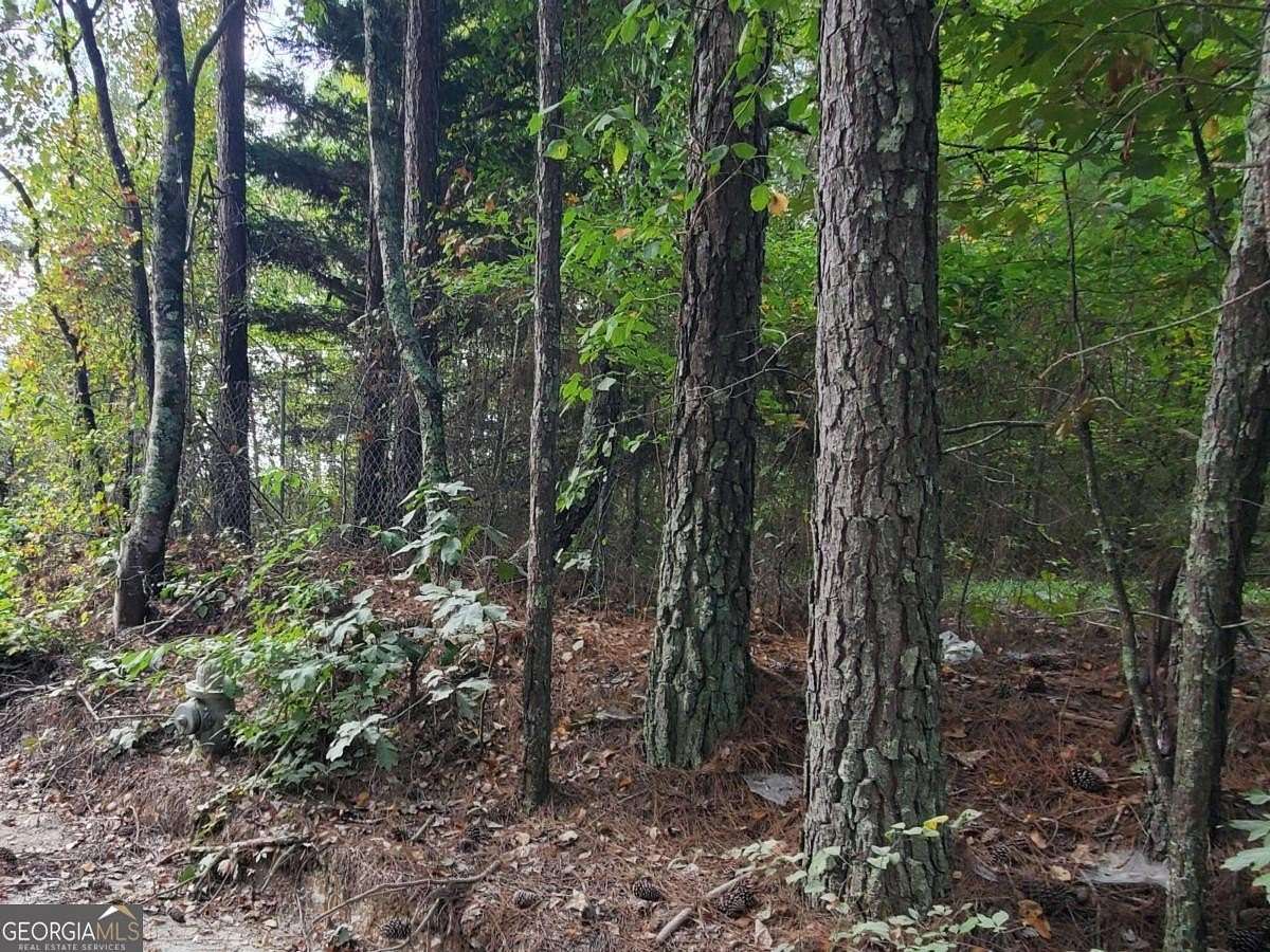 1 Acre of Land for Sale in Douglasville, Georgia