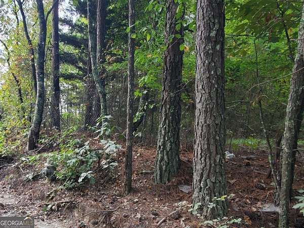 1 Acre of Land for Sale in Douglasville, Georgia