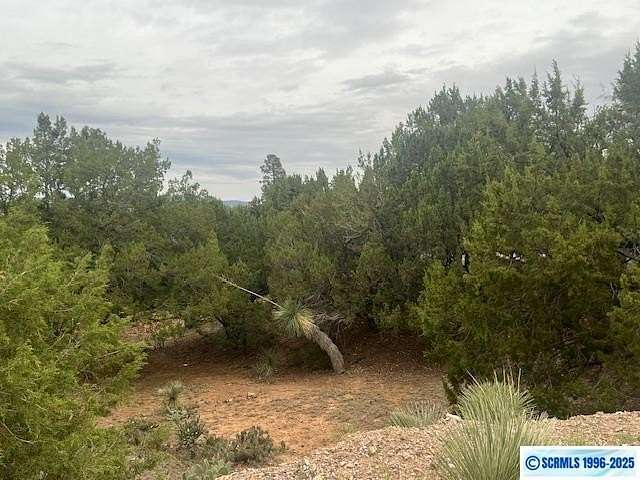0.17 Acres of Land for Sale in Silver City, New Mexico