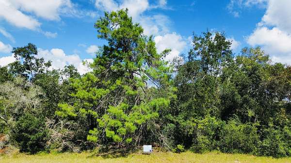 0.32 Acres of Residential Land for Sale in Ocala, Florida