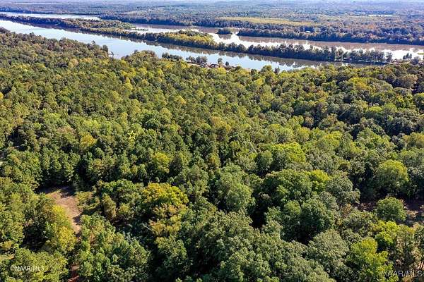 15 Acres of Recreational Land for Sale in Camden, Alabama