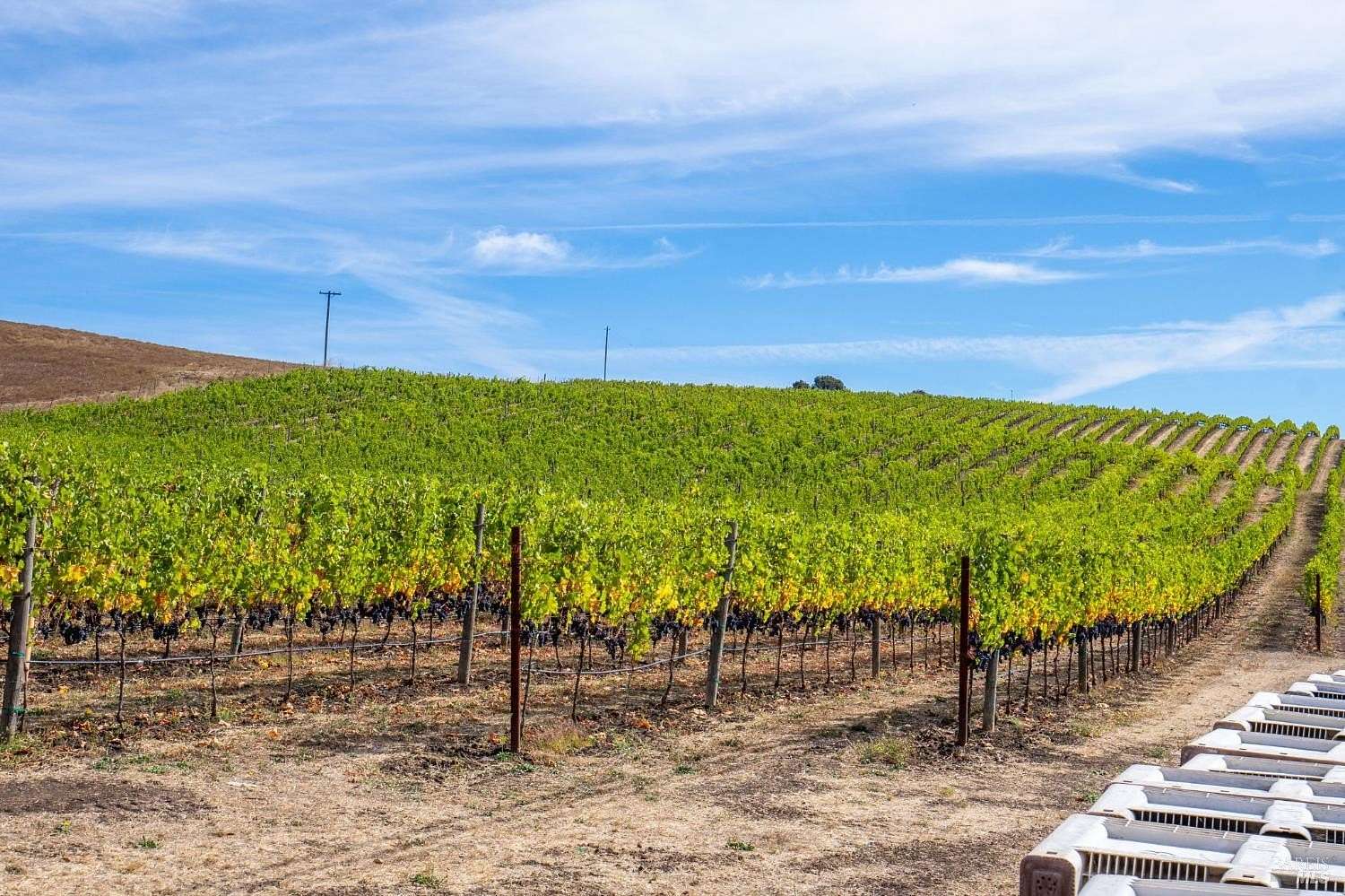9.49 Acres of Agricultural Land for Sale in Napa, California