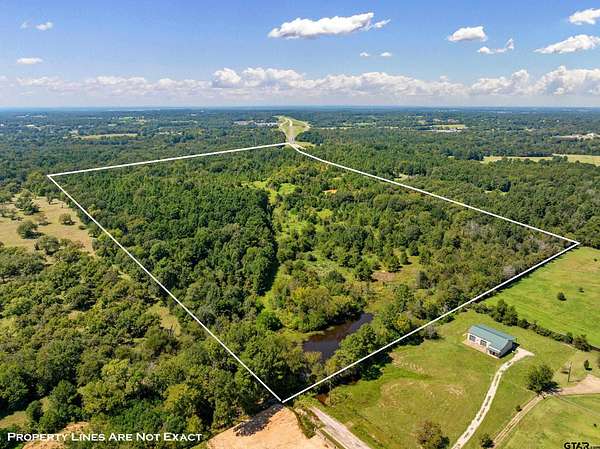 123 Acres of Land for Sale in Tyler, Texas