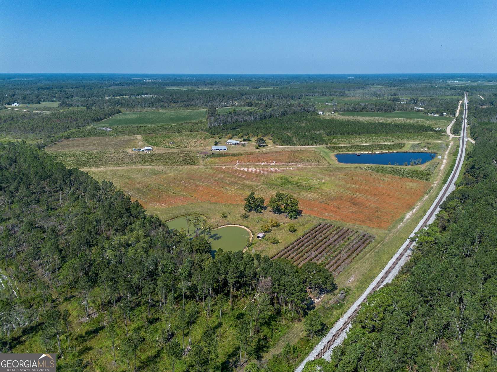 94.5 Acres of Agricultural Land for Sale in Nicholls, Georgia
