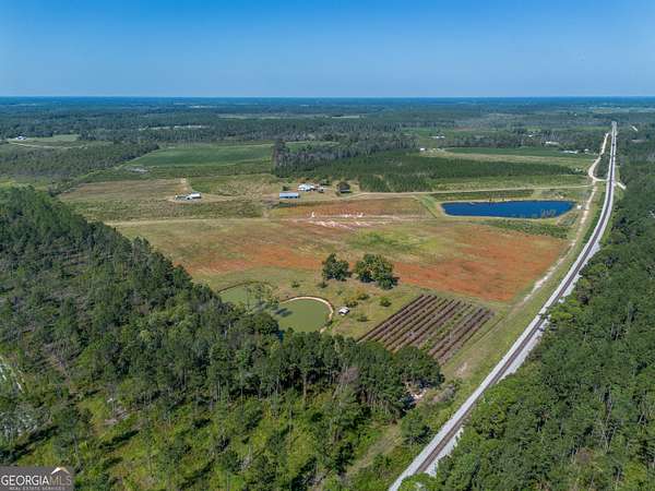 94.5 Acres of Agricultural Land for Sale in Nicholls, Georgia