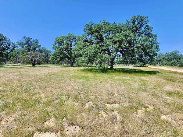 6.7 Acres of Recreational Land & Farm for Sale in Cottonwood, California