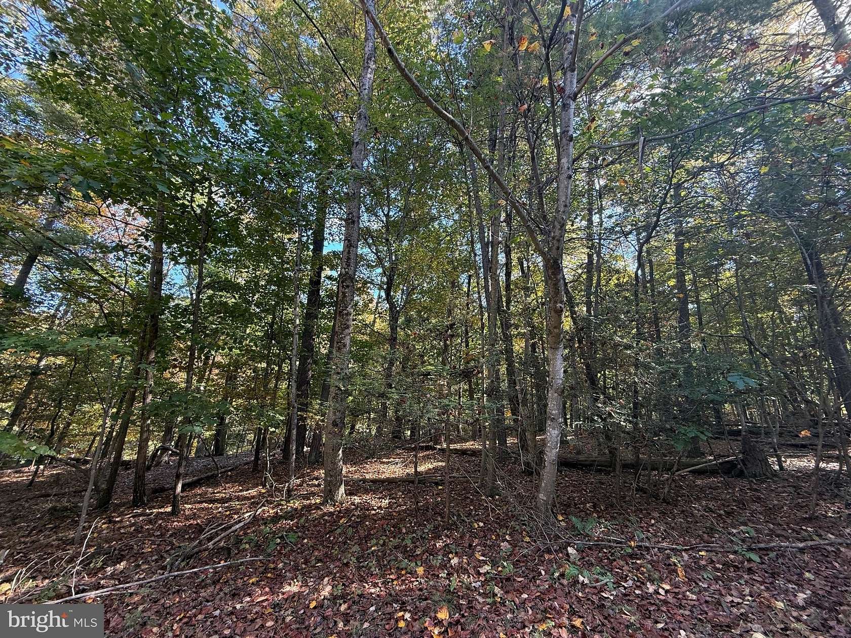 0.27 Acres of Land for Sale in Cross Junction, Virginia