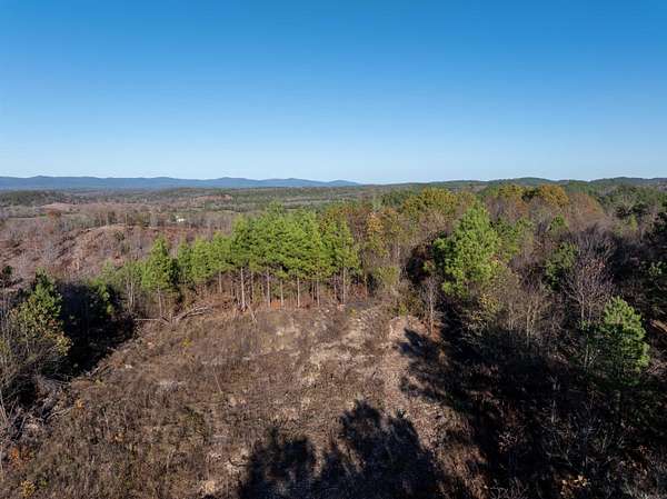 16.8 Acres of Land for Sale in Mena, Arkansas