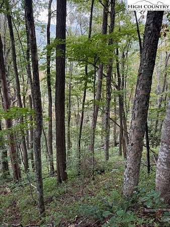 0.8 Acres of Residential Land for Sale in Creston, North Carolina