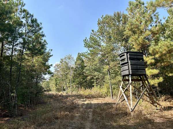 103 Acres of Recreational Land for Sale in Columbus, Mississippi