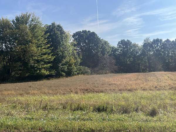 15.4 Acres of Recreational Land for Sale in Dansville, Michigan