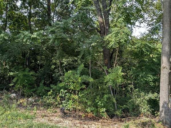 0.31 Acres of Residential Land for Sale in Holiday Island, Arkansas