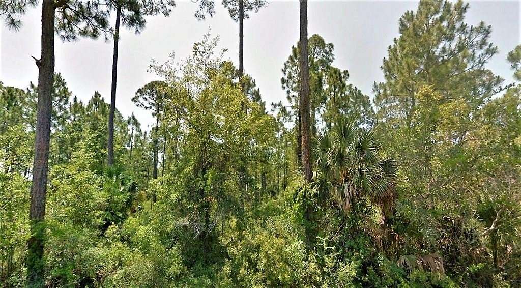 0.77 Acres of Residential Land for Sale in Port St. Joe, Florida