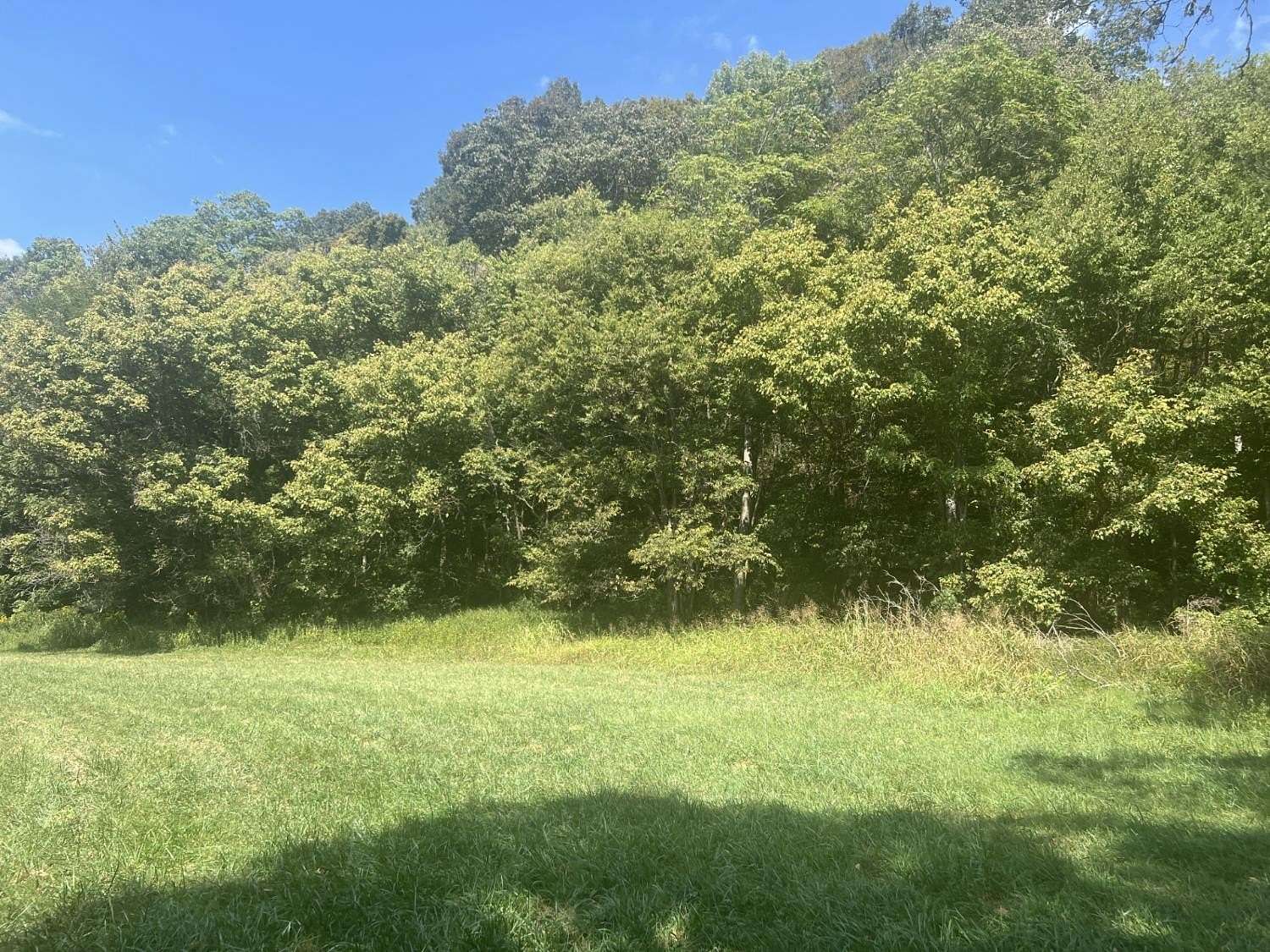 53.9 Acres of Recreational Land & Farm for Sale in Vevay, Indiana