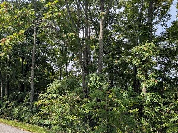 0.36 Acres of Residential Land for Sale in Holiday Island, Arkansas