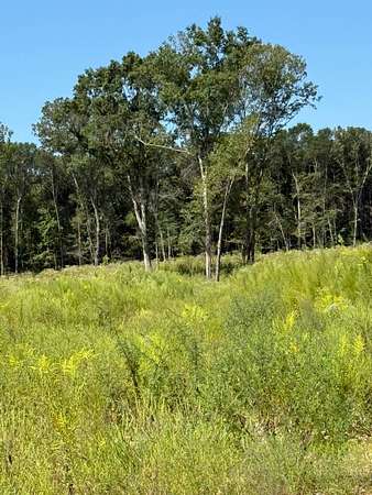 20 Acres of Land for Sale in Forest, Mississippi