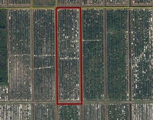 10 Acres of Agricultural Land for Sale in Arcadia, Florida