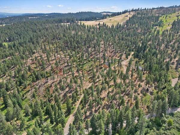 20 Acres of Agricultural Land for Sale in Spokane, Washington