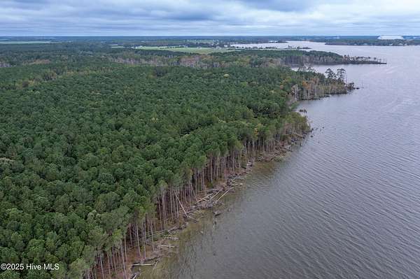 33.6 Acres of Recreational Land for Sale in Elizabeth City, North Carolina