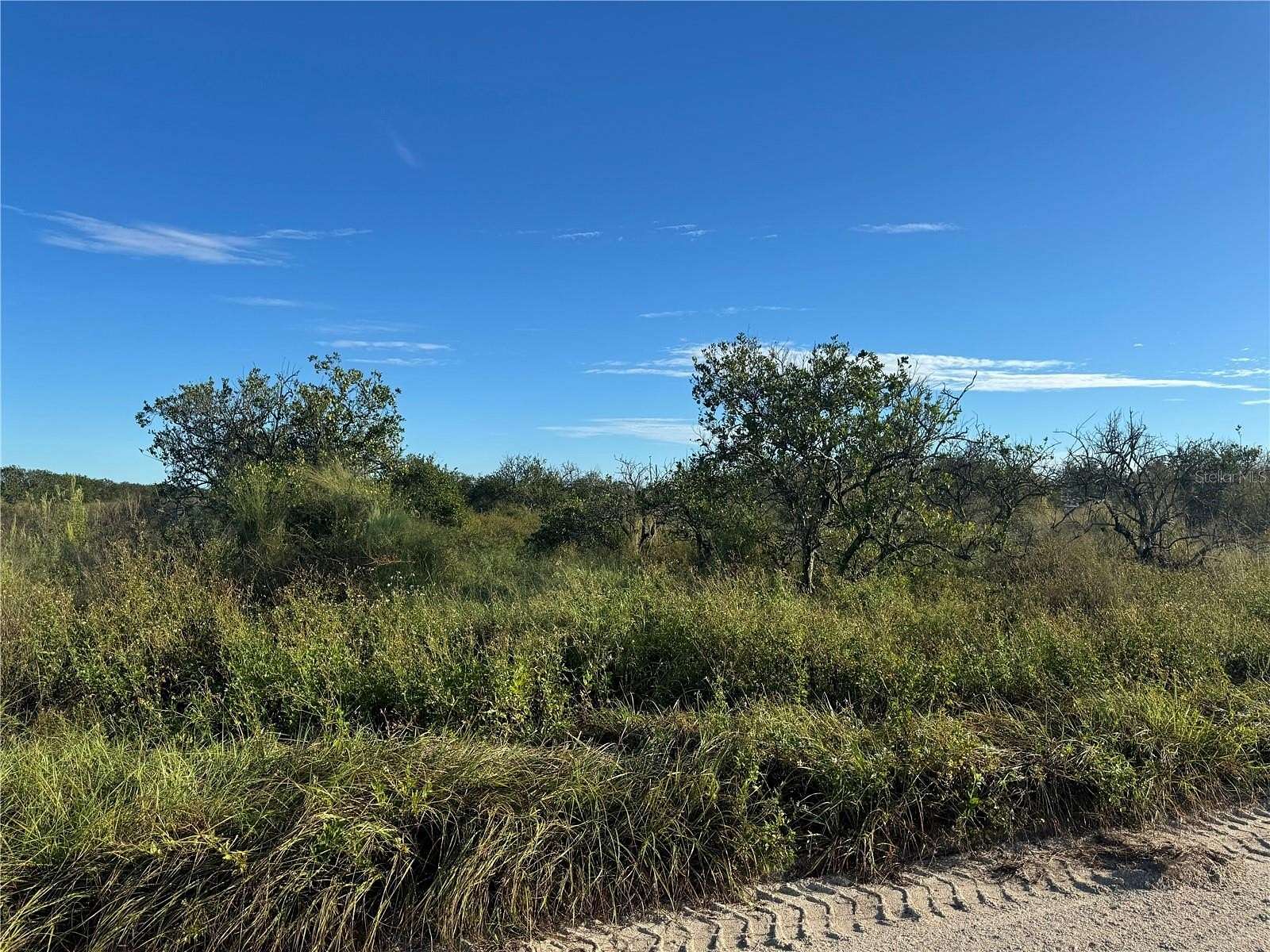 10 Acres of Agricultural Land for Sale in Arcadia, Florida