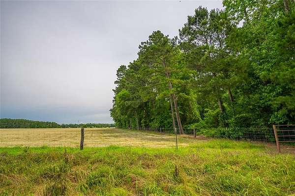 43 Acres of Recreational Land & Farm for Sale in Naples, Texas