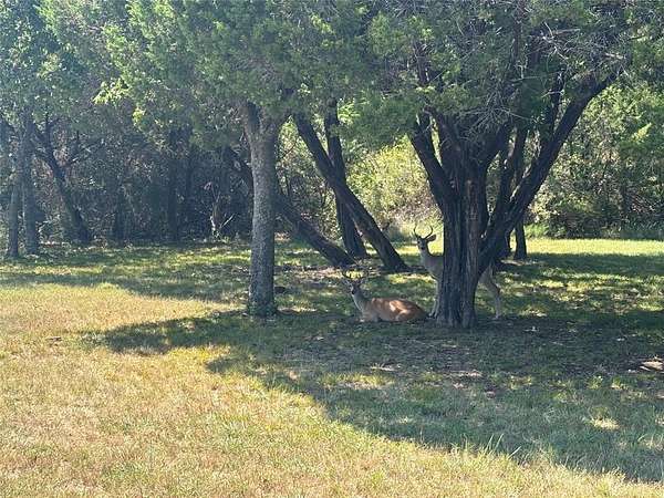0.26 Acres of Residential Land for Sale in Whitney, Texas