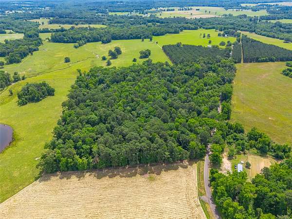 21 Acres of Land for Sale in Naples, Texas