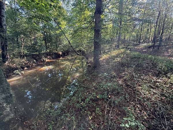 49 Acres of Recreational Land for Sale in Goodwater, Alabama
