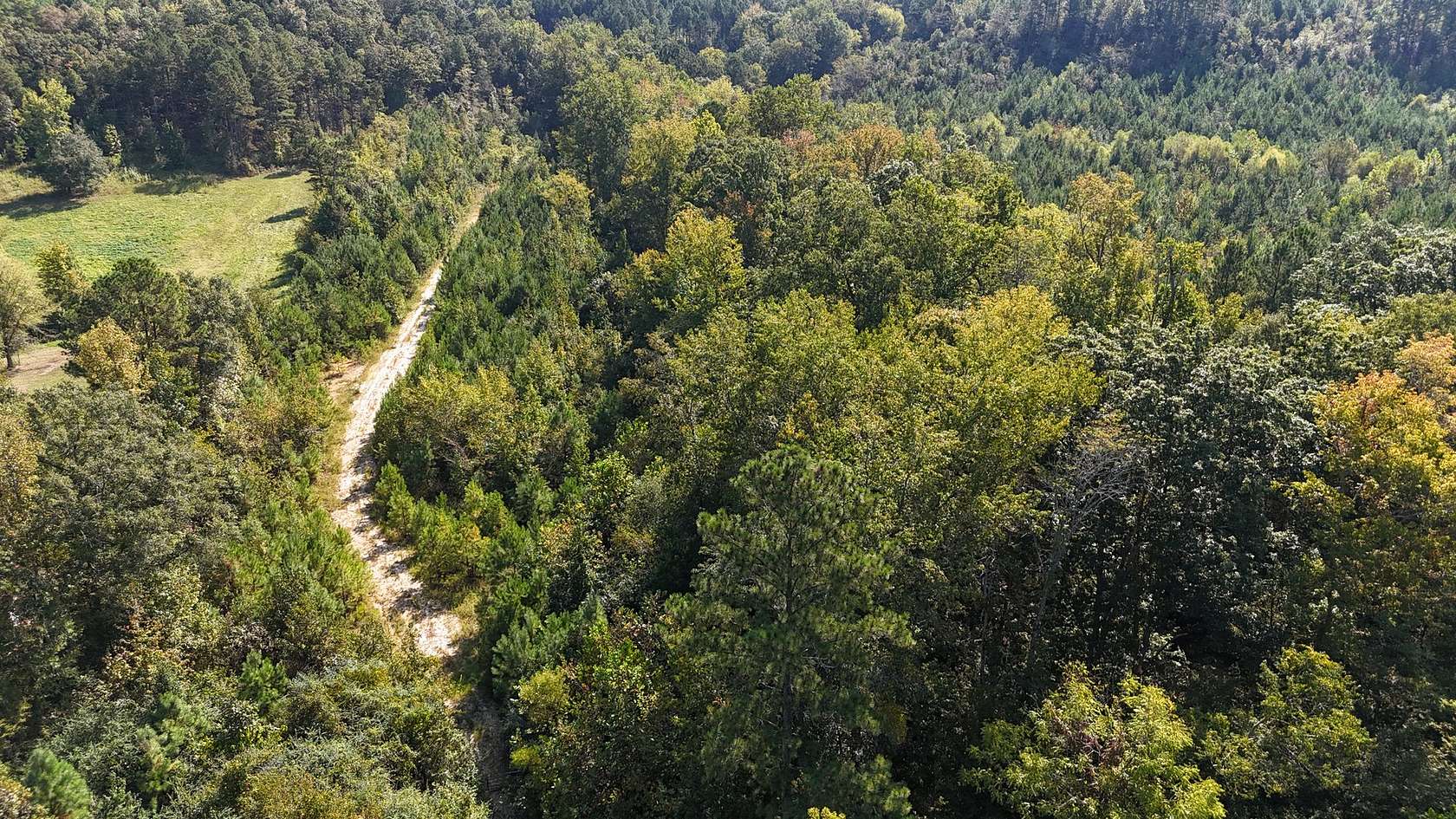 119 Acres of Recreational Land for Sale in Jacksonville, Alabama