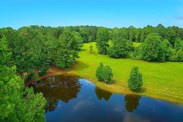 28.6 Acres of Improved Land for Sale in Bivins, Texas