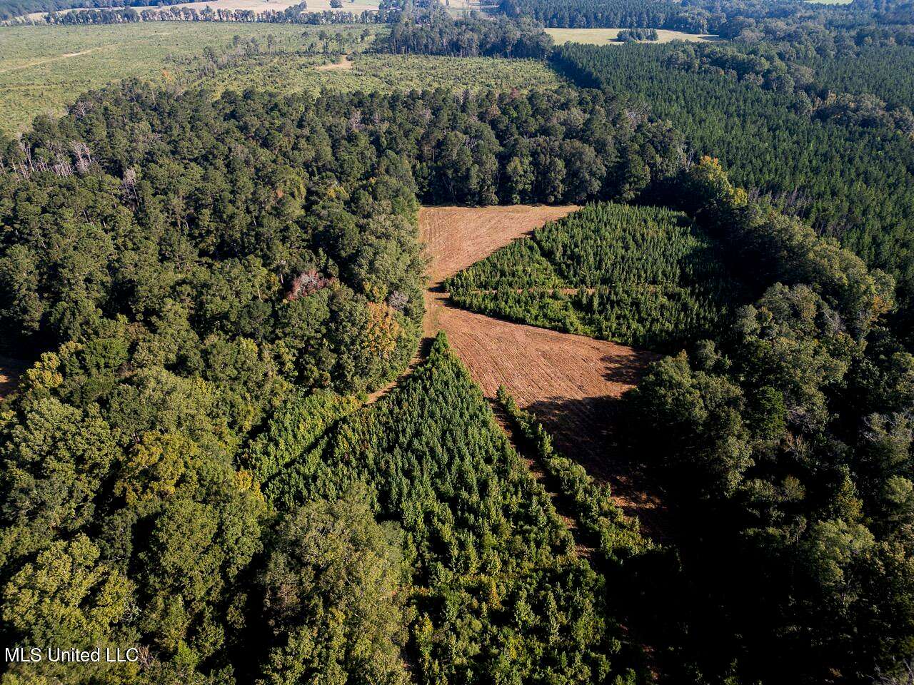 169 Acres of Recreational Land & Farm for Sale in Liberty, Mississippi