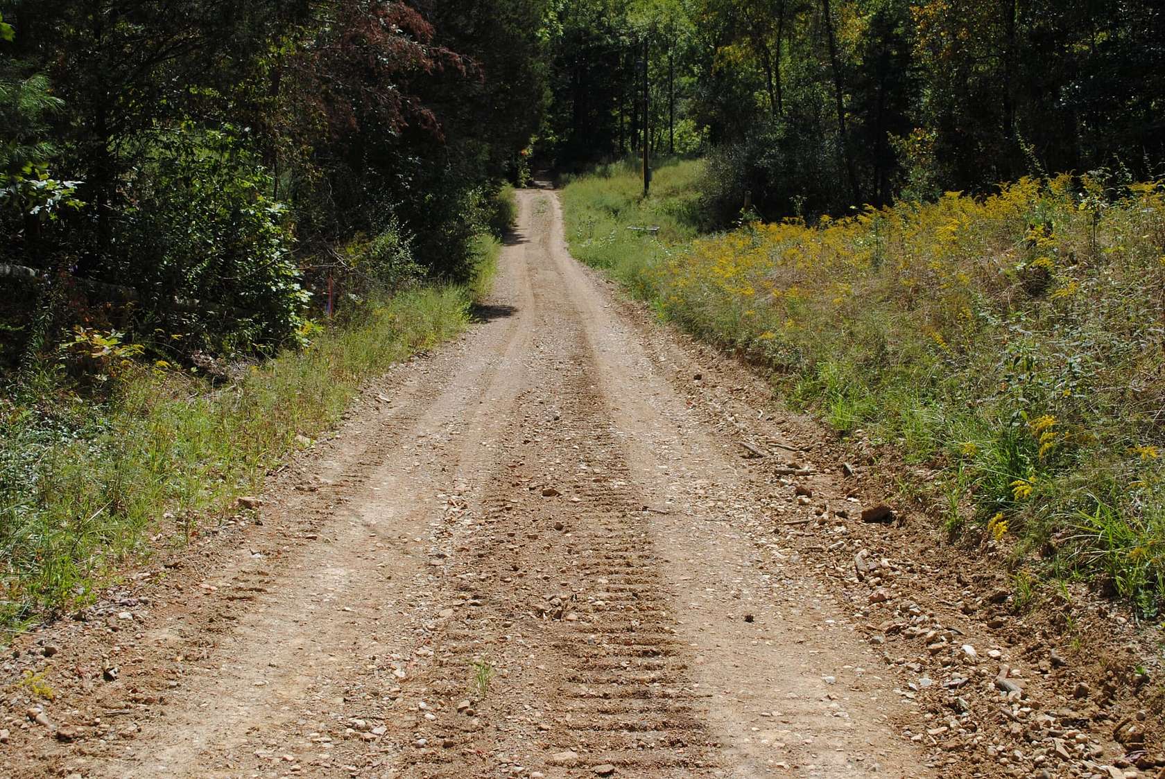 84 Acres of Recreational Land & Farm for Sale in Freetown, Indiana