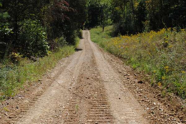 84 Acres of Recreational Land & Farm for Sale in Freetown, Indiana