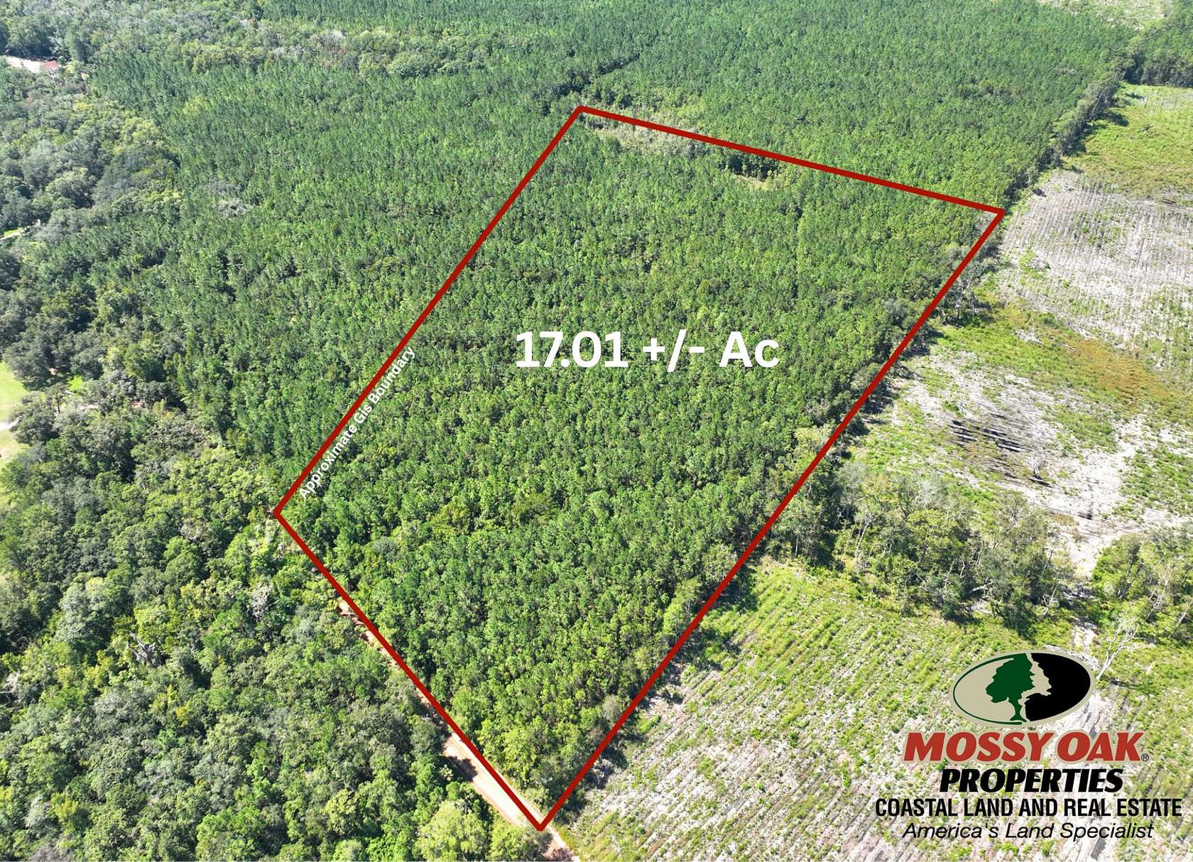 17 Acres of Recreational Land for Sale in Woodbine, Georgia