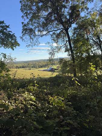 15.8 Acres of Land for Sale in Hardy, Virginia