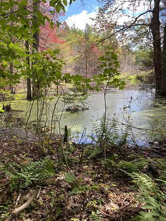 40 Acres of Recreational Land for Sale in McMillan, Michigan