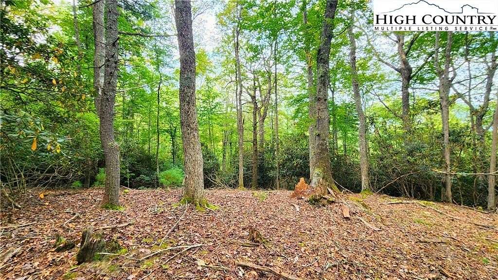 4.47 Acres of Residential Land for Sale in Vilas, North Carolina