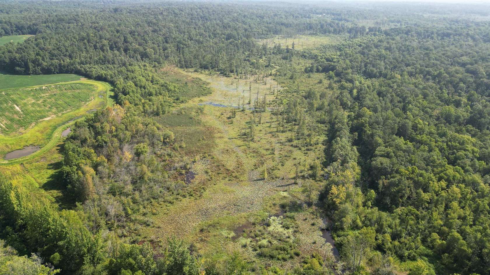 110 Acres of Recreational Land for Sale in Medon, Tennessee