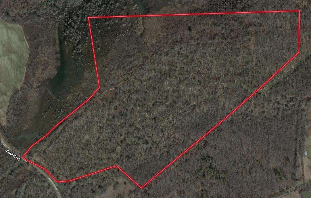 110 Acres of Recreational Land for Sale in Medon, Tennessee