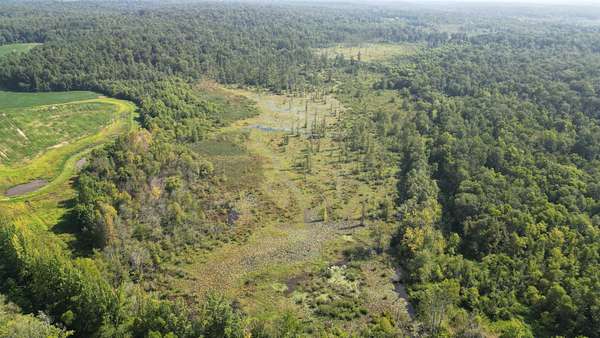 110 Acres of Recreational Land for Sale in Medon, Tennessee