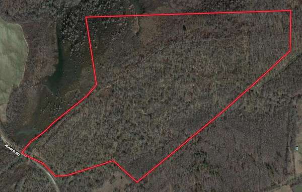 110 Acres of Recreational Land for Sale in Medon, Tennessee