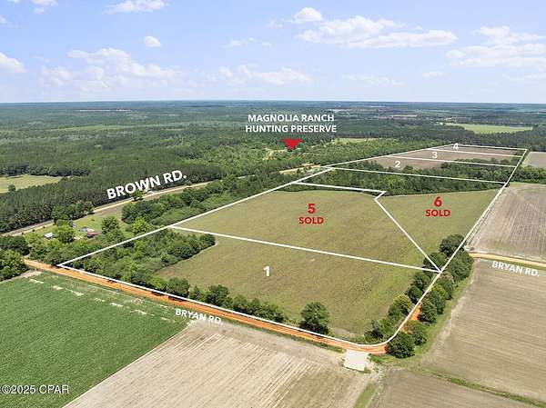 10 Acres of Residential Land for Sale in DeFuniak Springs, Florida