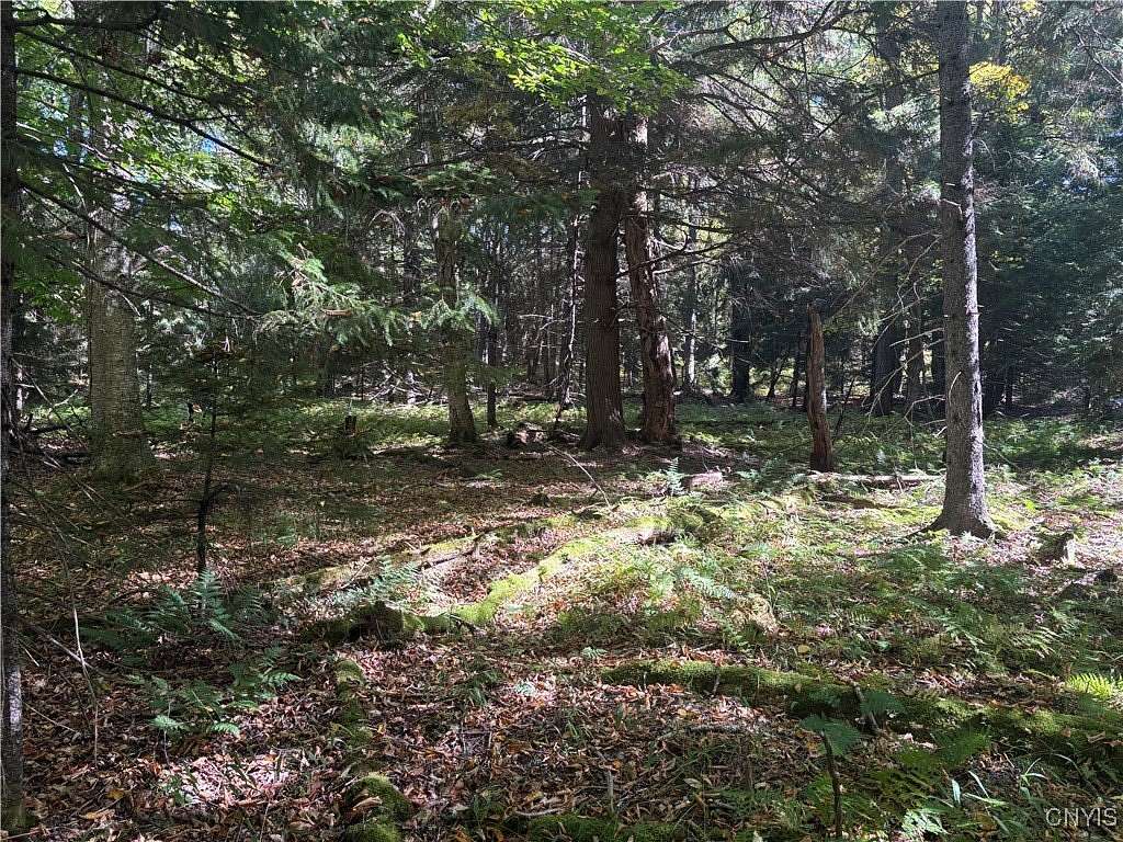 1.5 Acres of Residential Land for Sale in Old Forge, New York